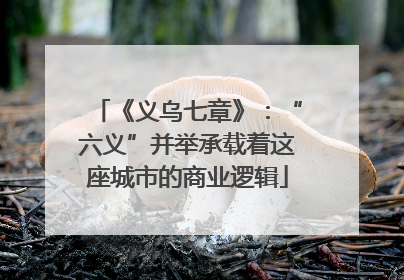 《义乌七章》：“六义”并举承载着这座城市的商业逻辑