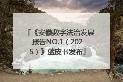 《安徽数字法治发展报告NO.1（2025）》蓝皮书发布