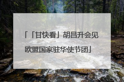 「甘快看」胡昌升会见欧盟国家驻华使节团