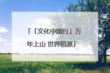 「文化中国行」万年上山 世界稻源