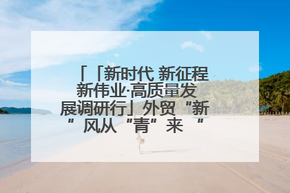 「新时代 新征程 新伟业·高质量发展调研行」外贸“新”风从“青”来 “双向奔赴”启新程