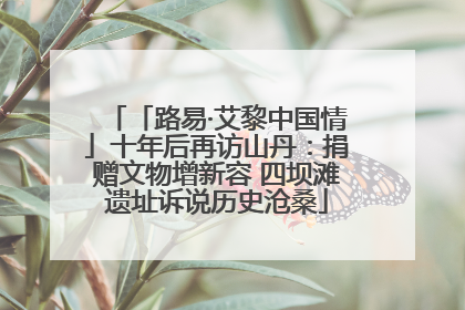 「路易·艾黎中国情」十年后再访山丹：捐赠文物增新容 四坝滩遗址诉说历史沧桑