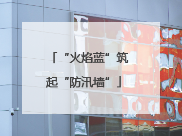 “火焰蓝”筑起“防汛墙”