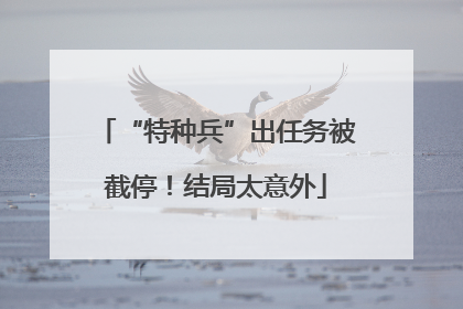“特种兵”出任务被截停！结局太意外