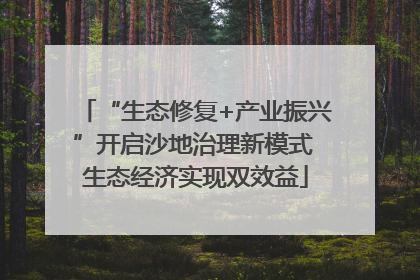 “生态修复+产业振兴”开启沙地治理新模式 生态经济实现双效益
