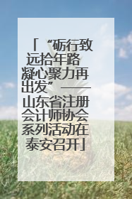 “砺行致远拾年路 凝心聚力再出发”——山东省注册会计师协会系列活动在泰安召开