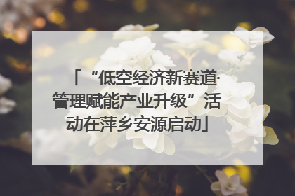 “低空经济新赛道·管理赋能产业升级”活动在萍乡安源启动