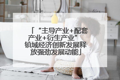 “主导产业+配套产业+衍生产业” 镇域经济创新发展释放强劲发展动能