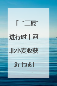 “三夏”进行时丨河北小麦收获近七成