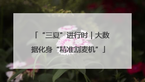 “三夏”进行时｜大数据化身“精准割麦机”