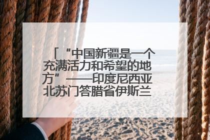 “中国新疆是一个充满活力和希望的地方”——印度尼西亚北苏门答腊省伊斯兰教代表团参访新疆
