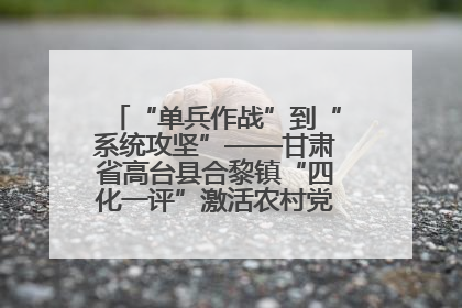 “单兵作战”到“系统攻坚”——甘肃省高台县合黎镇“四化一评”激活农村党员管理新引擎