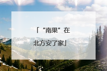 “南果”在北方安了家