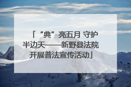 “典”亮五月 守护半边天——新野县法院开展普法宣传活动