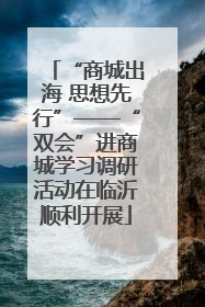 “商城出海 思想先行”——“双会”进商城学习调研活动在临沂顺利开展
