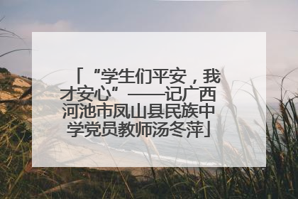 “学生们平安，我才安心”——记广西河池市凤山县民族中学党员教师汤冬萍