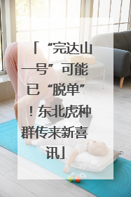 “完达山一号”可能已“脱单”！东北虎种群传来新喜讯