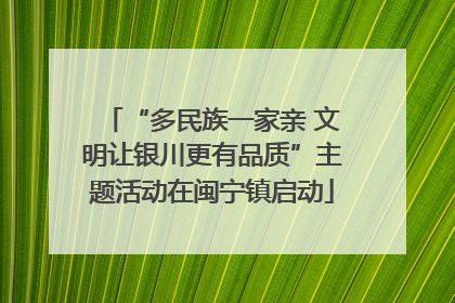“多民族一家亲 文明让银川更有品质”主题活动在闽宁镇启动