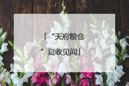 “天府粮仓”夏收见闻