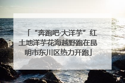 “奔跑吧·大洋芋”红土地洋芋花海越野跑在昆明市东川区热力开跑