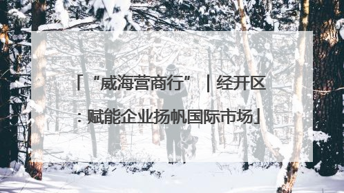 “威海营商行”｜经开区：赋能企业扬帆国际市场