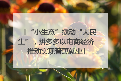 “小生意”撬动“大民生”，拼多多以电商经济推动实现普惠就业