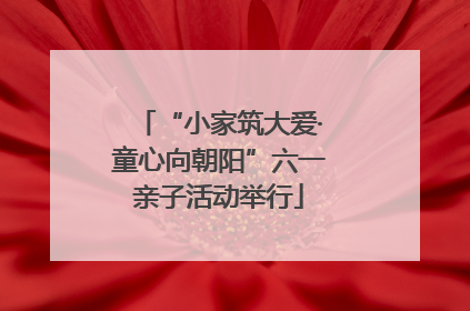 “小家筑大爱·童心向朝阳”六一亲子活动举行