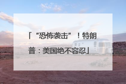 “恐怖袭击”！特朗普：美国绝不容忍