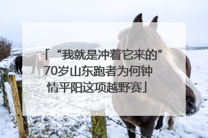 “我就是冲着它来的” 70岁山东跑者为何钟情平阳这项越野赛