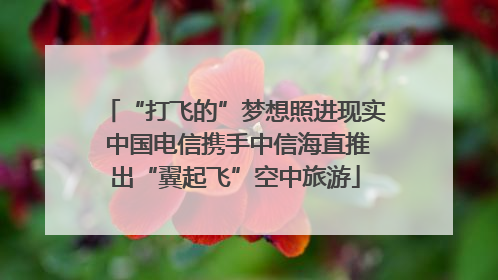 “打飞的”梦想照进现实 中国电信携手中信海直推出“翼起飞”空中旅游