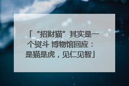 “招财猫”其实是一个熨斗 博物馆回应：是猫是虎，见仁见智