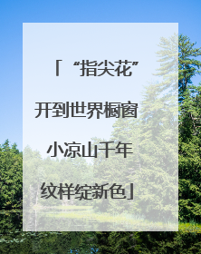 “指尖花”开到世界橱窗 小凉山千年纹样绽新色