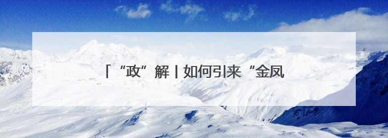 “政”解丨如何引来“金凤凰”？河南亮出“一盘棋”