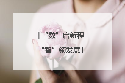 “数”启新程 “智”领发展