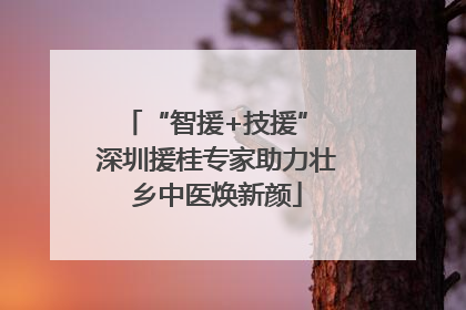 “智援+技援” 深圳援桂专家助力壮乡中医焕新颜