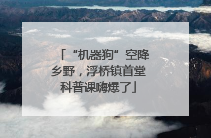 “机器狗”空降乡野，浮桥镇首堂科普课嗨爆了
