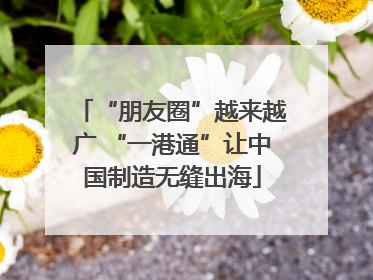 “朋友圈”越来越广 “一港通”让中国制造无缝出海