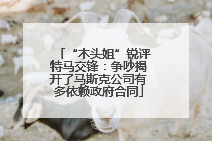 “木头姐”锐评特马交锋：争吵揭开了马斯克公司有多依赖政府合同