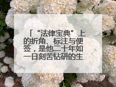 “法律宝典”上的折角、标注与便签，是他二十年如一日刻苦钻研的生动印记