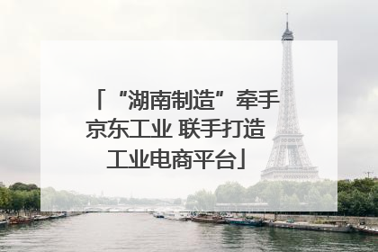 “湖南制造”牵手京东工业 联手打造工业电商平台