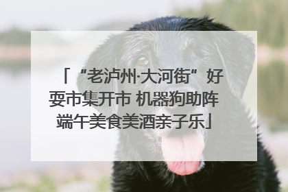 “老泸州·大河街”好耍市集开市 机器狗助阵端午美食美酒亲子乐