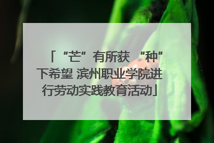 “芒”有所获 “种”下希望 滨州职业学院进行劳动实践教育活动
