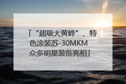 “超级大黄蜂”、特色涂装苏-30MKM 众多明星装备亮相