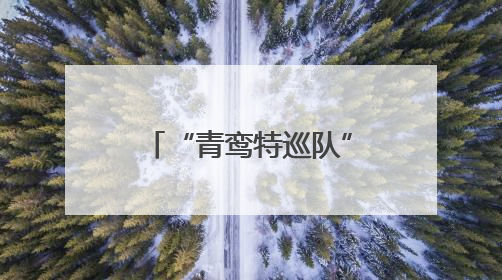 “青鸾特巡队”青岛大鲍岛出圈