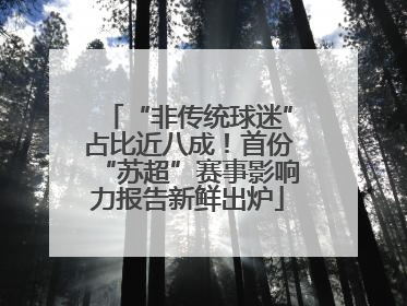 “非传统球迷”占比近八成！首份“苏超”赛事影响力报告新鲜出炉