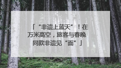 “非遗上蓝天”！在万米高空，旅客与春晚同款非遗见“面”