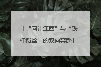 “问计江西”与“铁杆粉丝”的双向奔赴
