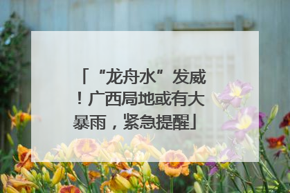 “龙舟水”发威！广西局地或有大暴雨，紧急提醒