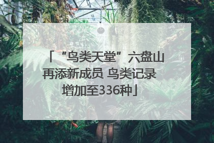 “鸟类天堂”六盘山再添新成员 鸟类记录增加至336种