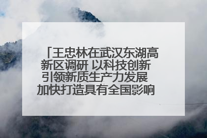 王忠林在武汉东湖高新区调研 以科技创新引领新质生产力发展 加快打造具有全国影响力的科技创新高地
